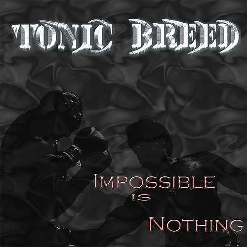 Impossible Is Nothing (Tonic Breed song)